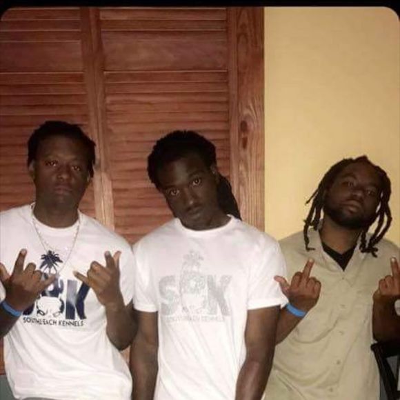 Meet your Posher, David - Picture 1 of 1